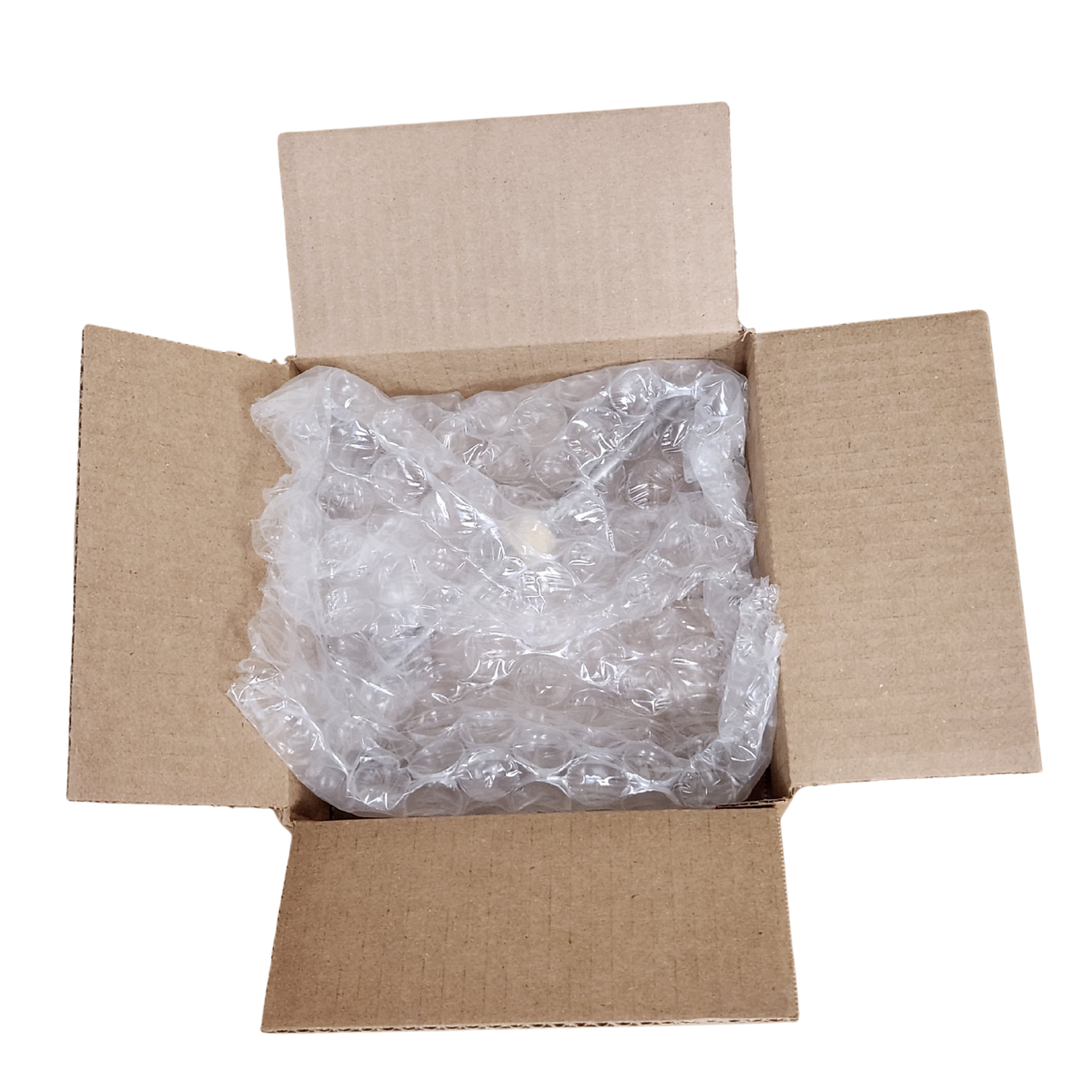 Rodillo de esponja Nautilus Hyosung