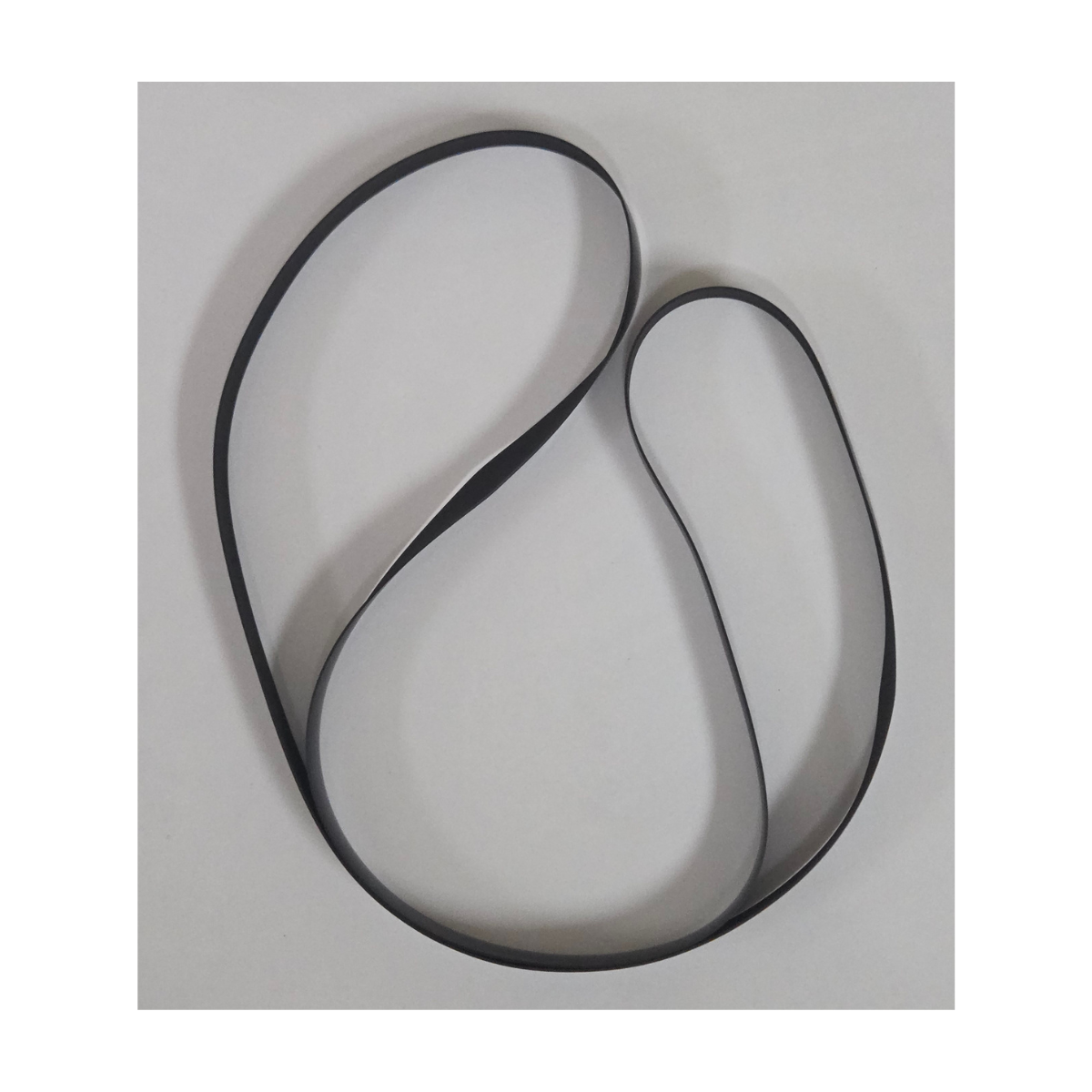 Nautilus Hyosung Feed Belt - Large